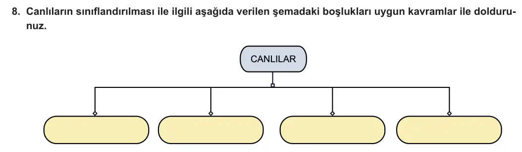 5. Sınıf Fen Bilimleri 2023-2024 1. Dönem 1. Yazılı 1. Bölüm 8. Soru görseli (1/2)