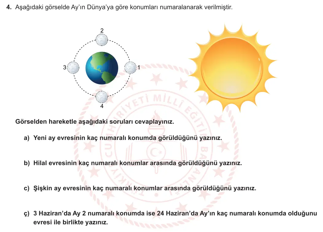 5. Sınıf Fen Bilimleri 2023-2024 1. Dönem 1. Yazılı 2. Bölüm 4. Soru görseli (1/2)