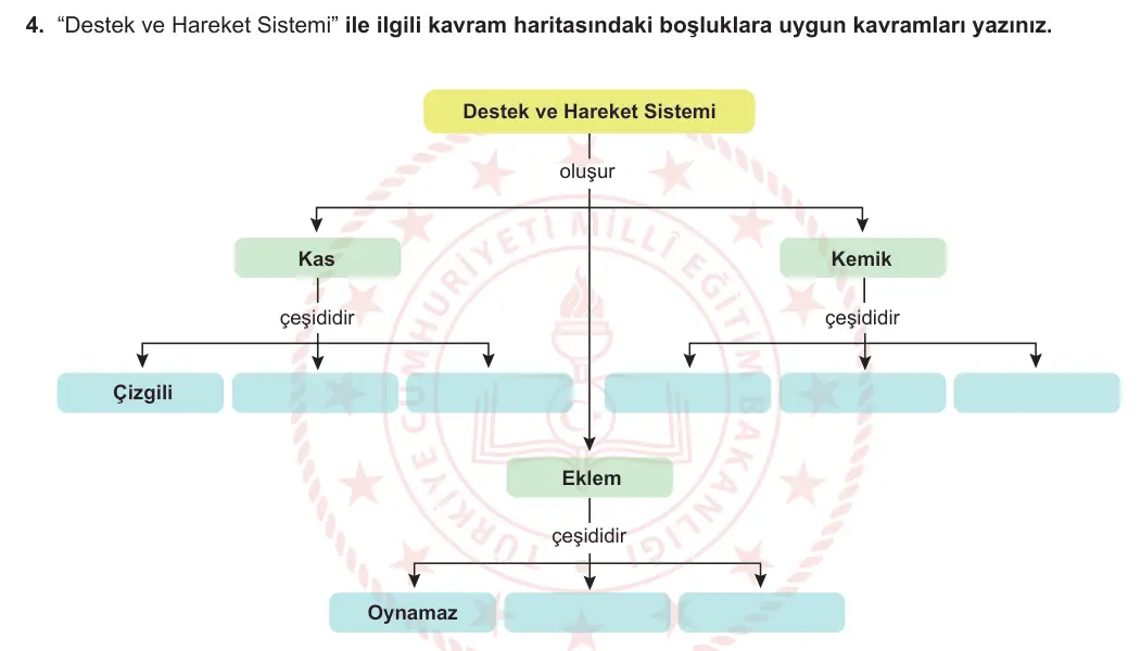 6. Sınıf Fen Bilimleri 2023-2024 1. Dönem 1. Yazılı 1. Bölüm 4. Soru görseli
