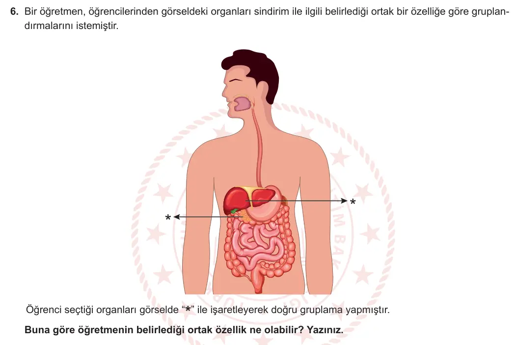 6. Sınıf Fen Bilimleri 2023-2024 1. Dönem 1. Yazılı 1. Bölüm 6. Soru görseli
