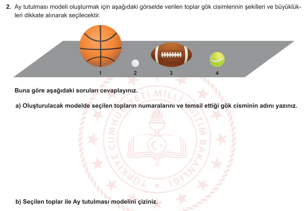 6. Sınıf Fen Bilimleri 2023-2024 1. Dönem 1. Yazılı 2. Bölüm 2. Soru görseli