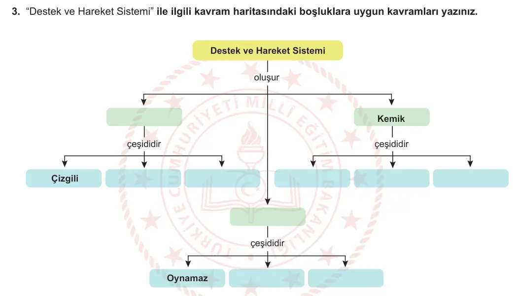 6. Sınıf Fen Bilimleri 2023-2024 1. Dönem 1. Yazılı 2. Bölüm 3. Soru görseli