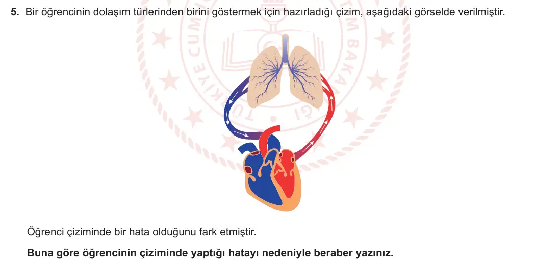 6. Sınıf Fen Bilimleri 2023-2024 1. Dönem 1. Yazılı 2. Bölüm 5. Soru görseli