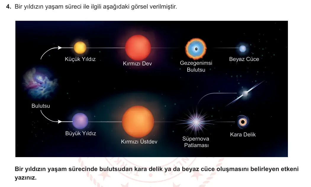 7. Sınıf Fen Bilimleri 2023-2024 1. Dönem 1. Yazılı 1. Bölüm 4. Soru görseli