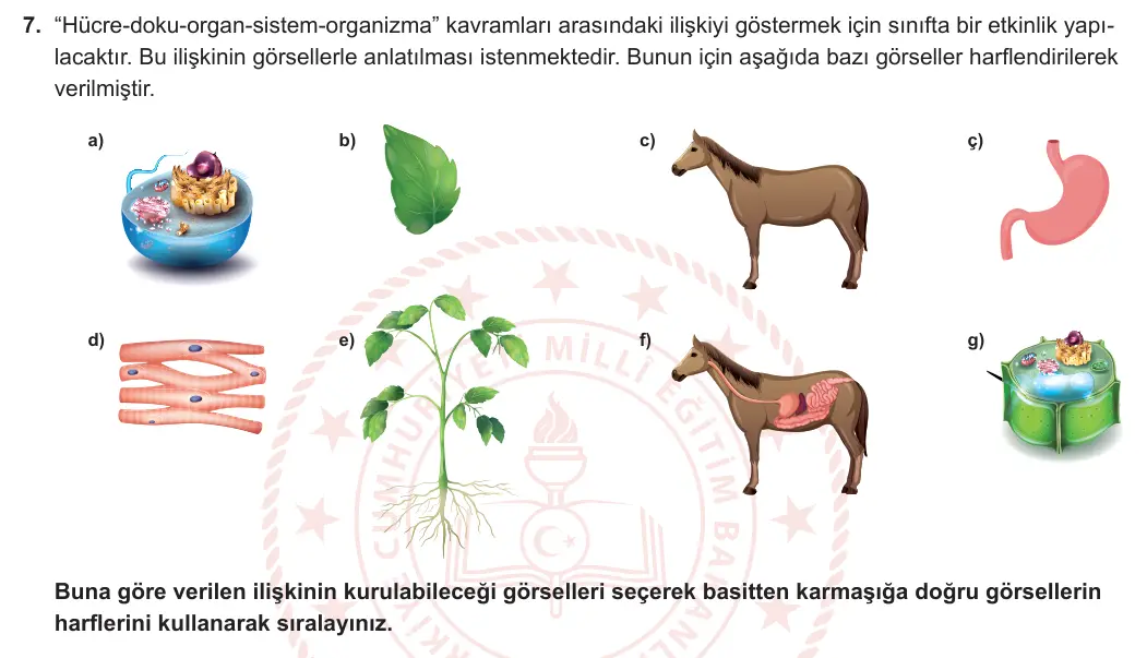 7. Sınıf Fen Bilimleri 2023-2024 1. Dönem 1. Yazılı 1. Bölüm 7. Soru görseli