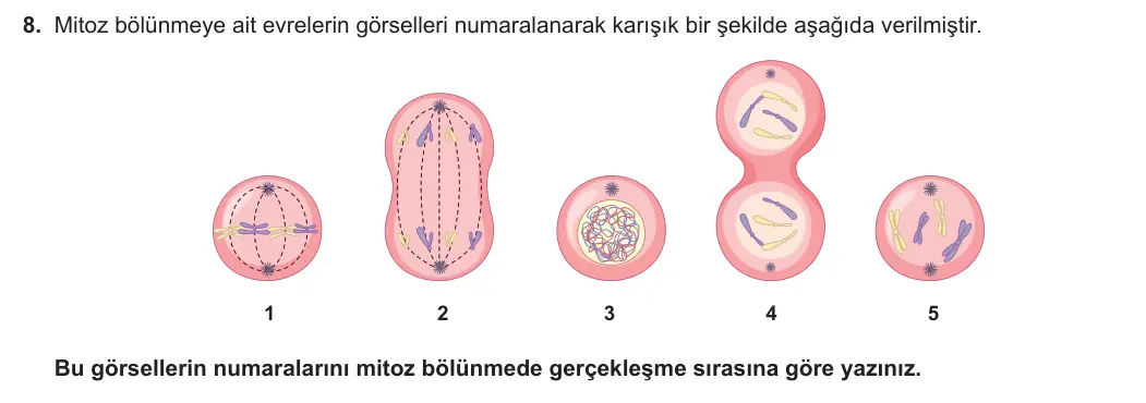 7. Sınıf Fen Bilimleri 2023-2024 1. Dönem 1. Yazılı 1. Bölüm 8. Soru görseli (1/2)