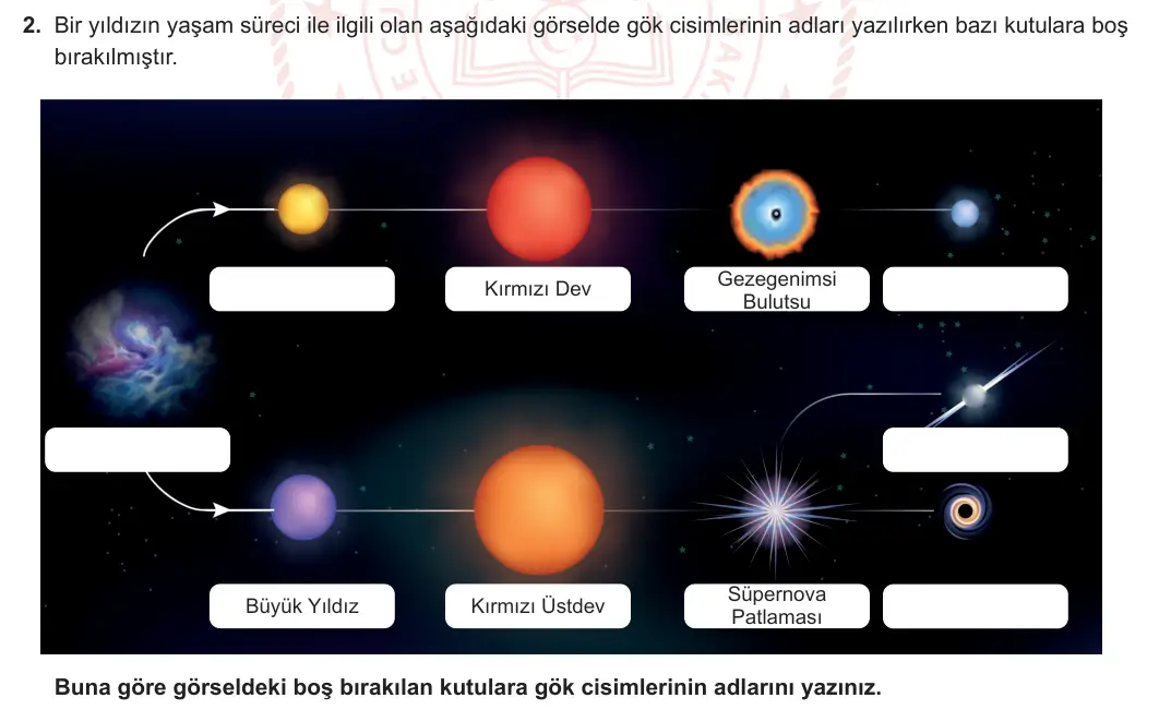 7. Sınıf Fen Bilimleri 2023-2024 1. Dönem 1. Yazılı 2. Bölüm 2. Soru görseli