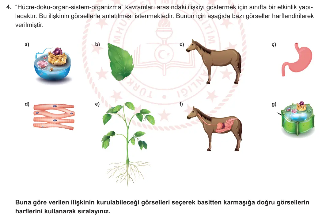 7. Sınıf Fen Bilimleri 2023-2024 1. Dönem 1. Yazılı 2. Bölüm 4. Soru görseli