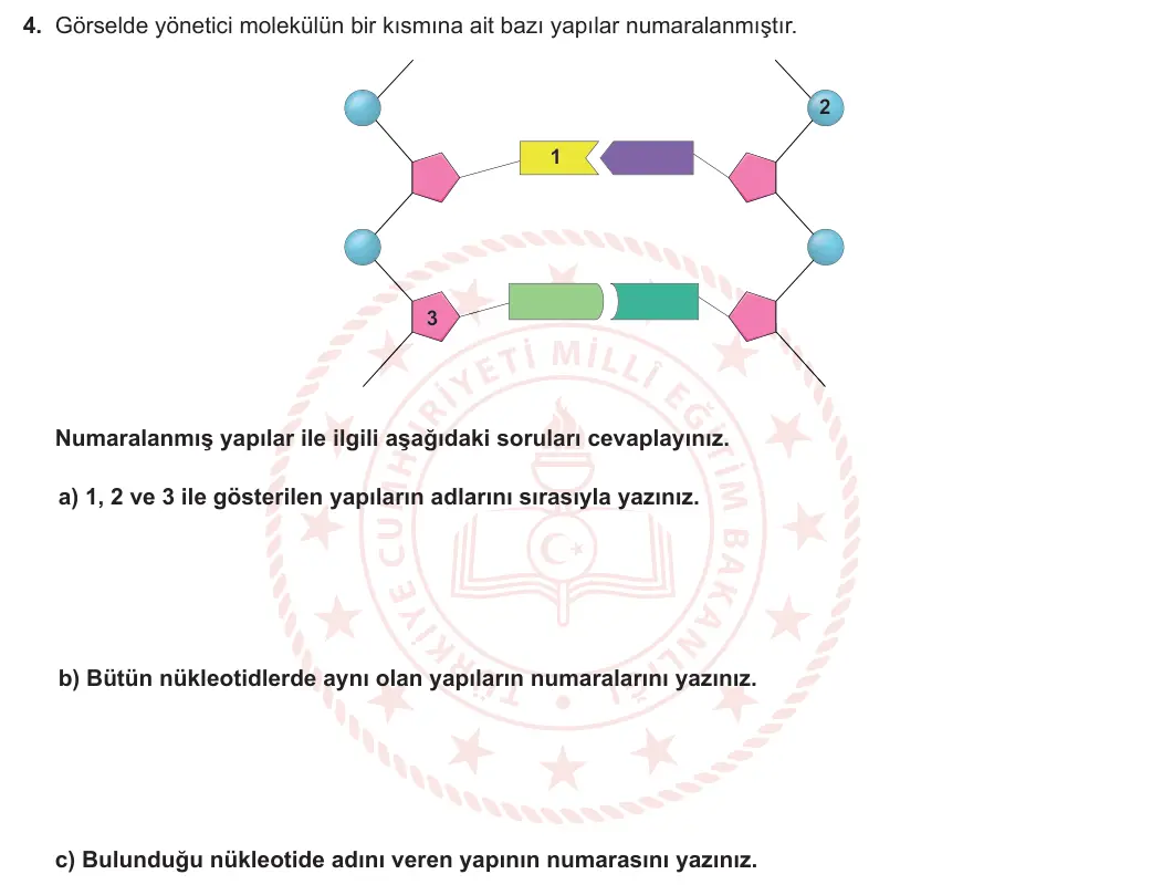 8. Sınıf Fen Bilimleri 2023-2024 1. Dönem 1. Yazılı 1. Bölüm 4. Soru görseli (1/2)