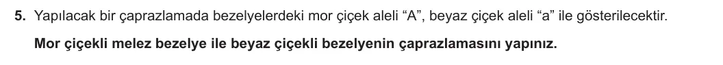 8. Sınıf Fen Bilimleri 2023-2024 1. Dönem 1. Yazılı 1. Bölüm 5. Soru görseli