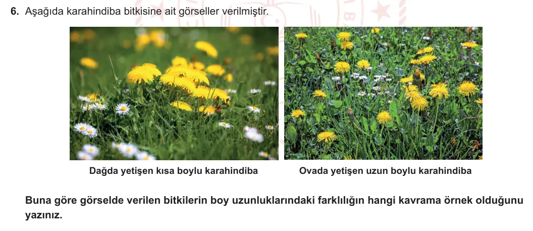 8. Sınıf Fen Bilimleri 2023-2024 1. Dönem 1. Yazılı 1. Bölüm 6. Soru görseli (1/2)