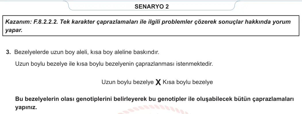 8. Sınıf Fen Bilimleri 2023-2024 1. Dönem 1. Yazılı 2. Bölüm 2. Soru görseli (2/2)