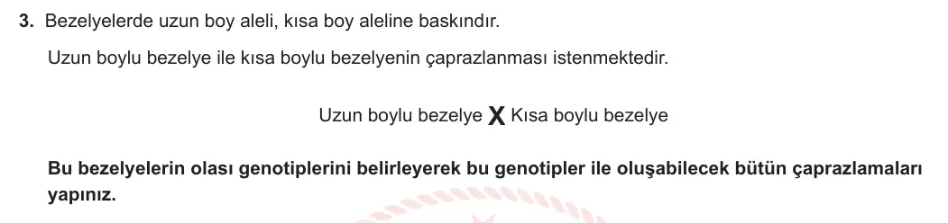 8. Sınıf Fen Bilimleri 2023-2024 1. Dönem 1. Yazılı 2. Bölüm 3. Soru görseli (1/2)