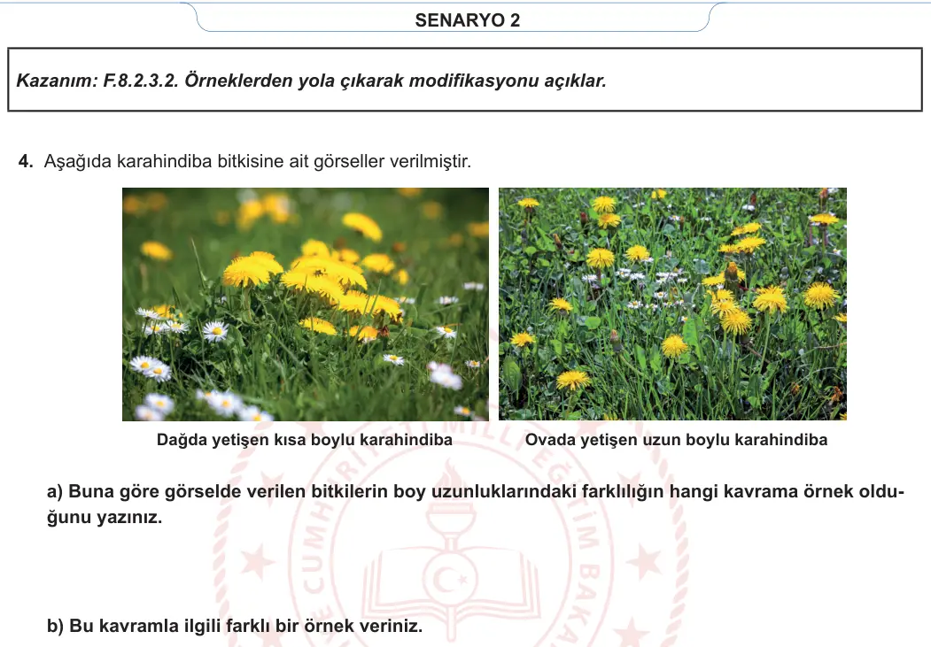 8. Sınıf Fen Bilimleri 2023-2024 1. Dönem 1. Yazılı 2. Bölüm 3. Soru görseli (2/2)