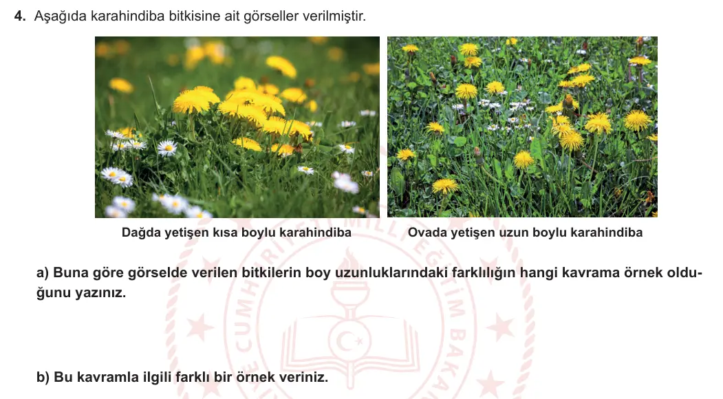 8. Sınıf Fen Bilimleri 2023-2024 1. Dönem 1. Yazılı 2. Bölüm 4. Soru görseli (1/2)