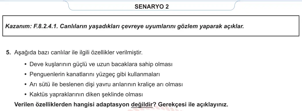 8. Sınıf Fen Bilimleri 2023-2024 1. Dönem 1. Yazılı 2. Bölüm 4. Soru görseli (2/2)
