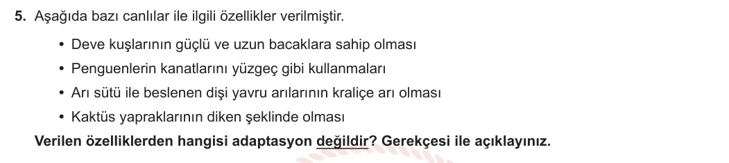 8. Sınıf Fen Bilimleri 2023-2024 1. Dönem 1. Yazılı 2. Bölüm 5. Soru görseli