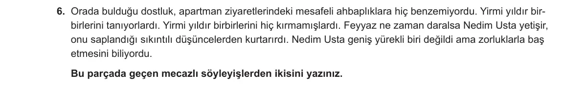 12. Sınıf Türk Dili ve Edebiyatı 2023-2024 1. Dönem 1. Yazılı 2. Bölüm 6. Soru görseli
