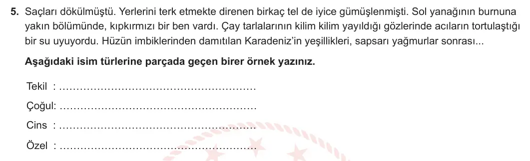 9. Sınıf Türk Dili ve Edebiyatı 2023-2024 1. Dönem 1. Yazılı 2. Bölüm 5. Soru görseli