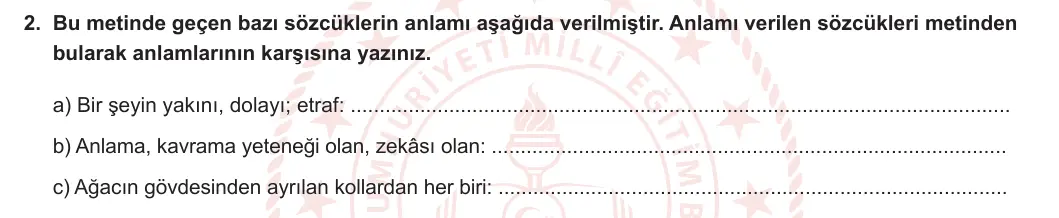 6. Sınıf Türkçe 2023-2024 1. Dönem 1. Yazılı 1. Bölüm 2. Soru (Anka Kuşu Yayınları) görseli