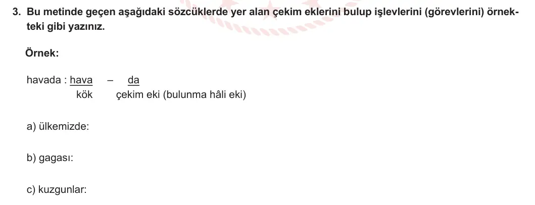 6. Sınıf Türkçe 2023-2024 1. Dönem 1. Yazılı 1. Bölüm 3. Soru (Anka Kuşu Yayınları) görseli