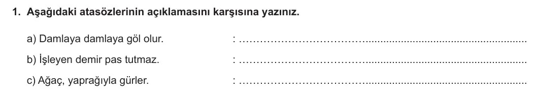 6. Sınıf Türkçe 2023-2024 1. Dönem 1. Yazılı 2. Bölüm 1. Soru (Anka Kuşu Yayınları) görseli