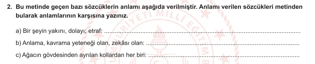 6. Sınıf Türkçe 2023-2024 1. Dönem 1. Yazılı 1. Bölüm 2. Soru (MEB Yayınları) görseli