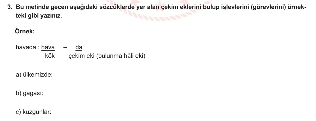 6. Sınıf Türkçe 2023-2024 1. Dönem 1. Yazılı 1. Bölüm 3. Soru (MEB Yayınları) görseli