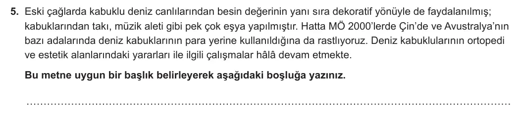 7. Sınıf Türkçe 2023-2024 1. Dönem 1. Yazılı 2. Bölüm 5. Soru görseli