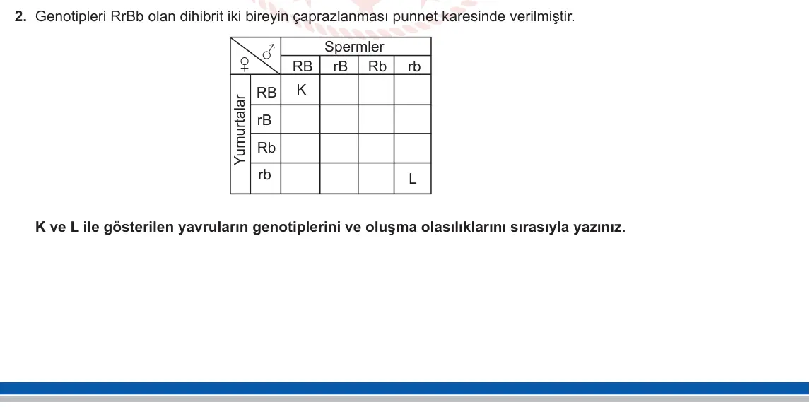10. Sınıf Biyoloji 2023-2024 1. Dönem 2. Yazılı 1. Bölüm 2. Soru görseli