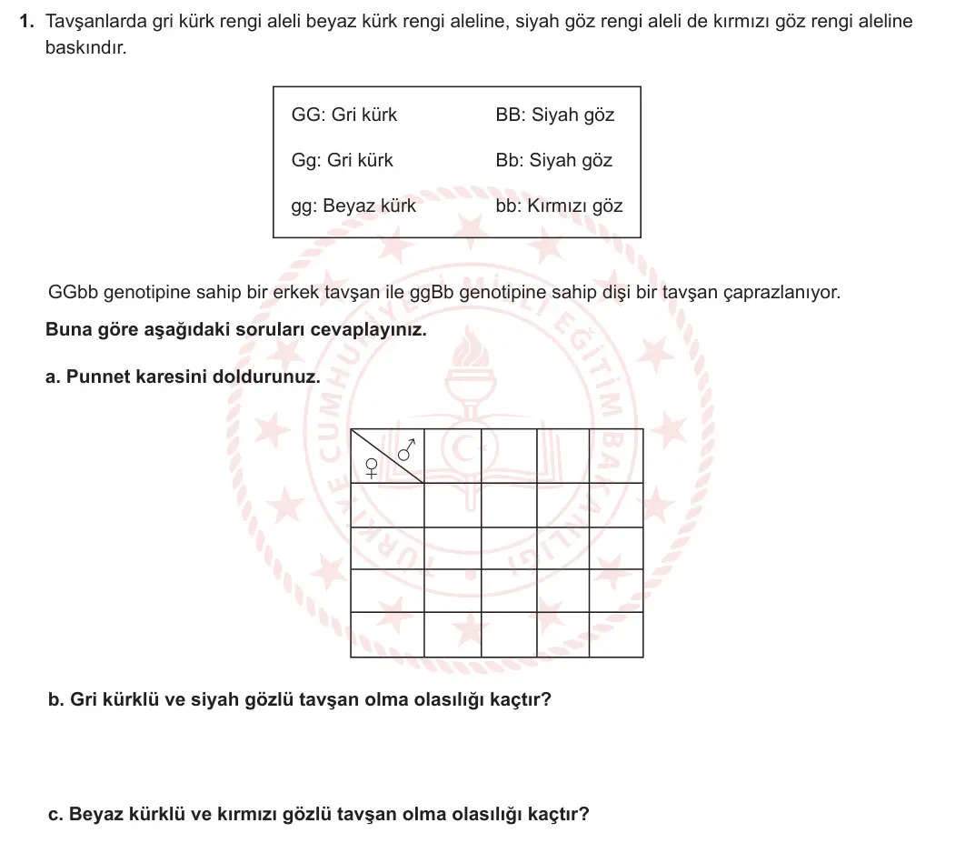 10. Sınıf Biyoloji 2023-2024 1. Dönem 2. Yazılı 2. Bölüm 1. Soru görseli