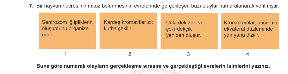 10. Sınıf Biyoloji 2023-2024 1. Dönem 2. Yazılı 2. Bölüm 7. Soru görseli