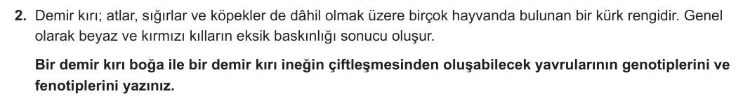 10. Sınıf Biyoloji 2023-2024 1. Dönem 2. Yazılı 3. Bölüm 2. Soru görseli