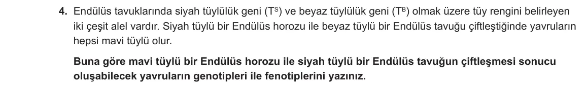 10. Sınıf Biyoloji 2023-2024 1. Dönem 2. Yazılı 3. Bölüm 4. Soru görseli