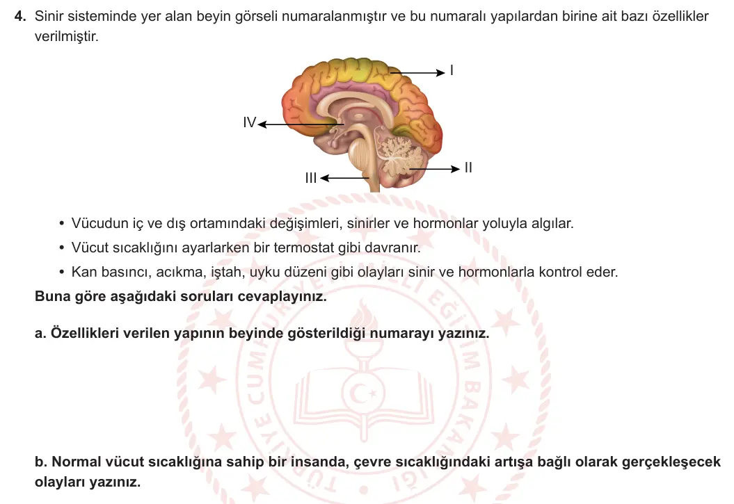 11. Sınıf Biyoloji 2023-2024 1. Dönem 2. Yazılı 1. Bölüm 4. Soru görseli