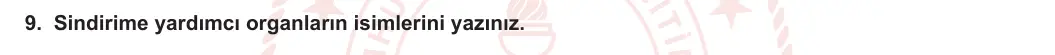 11. Sınıf Biyoloji 2023-2024 1. Dönem 2. Yazılı 1. Bölüm 9. Soru görseli