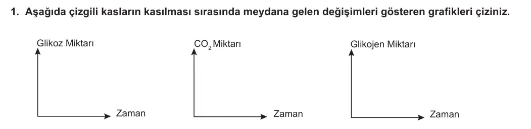 11. Sınıf Biyoloji 2023-2024 1. Dönem 2. Yazılı 3. Bölüm 1. Soru görseli