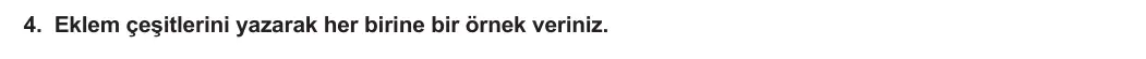 11. Sınıf Biyoloji 2023-2024 1. Dönem 2. Yazılı 3. Bölüm 4. Soru görseli
