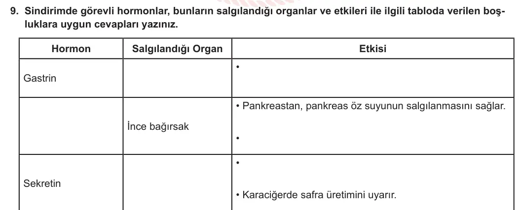 11. Sınıf Biyoloji 2023-2024 1. Dönem 2. Yazılı 3. Bölüm 9. Soru görseli