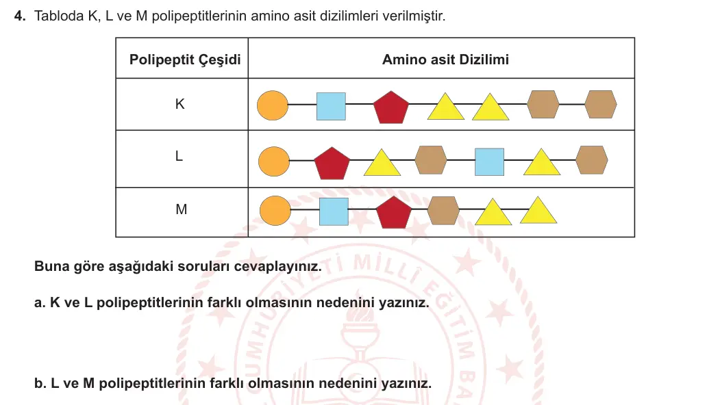 12. Sınıf Biyoloji 2023-2024 1. Dönem 2. Yazılı 1. Bölüm 4. Soru görseli