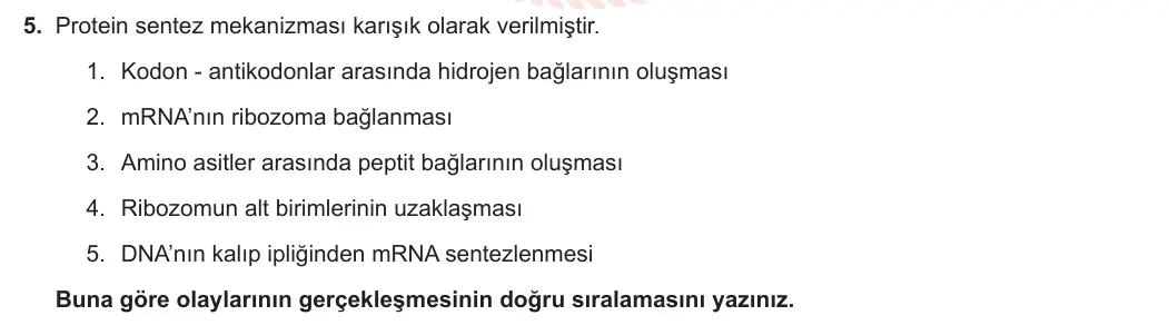 12. Sınıf Biyoloji 2023-2024 1. Dönem 2. Yazılı 1. Bölüm 5. Soru görseli