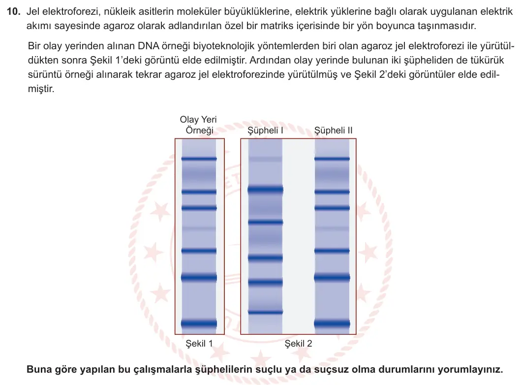 12. Sınıf Biyoloji 2023-2024 1. Dönem 2. Yazılı 2. Bölüm 10. Soru görseli