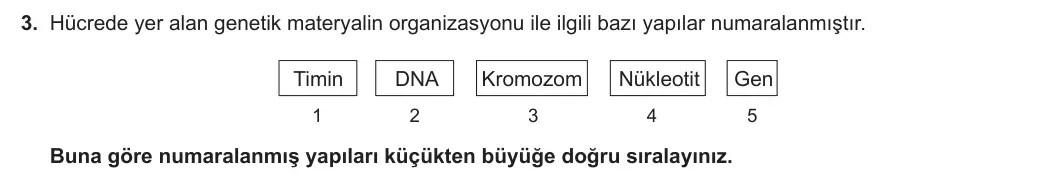 12. Sınıf Biyoloji 2023-2024 1. Dönem 2. Yazılı 2. Bölüm 3. Soru görseli