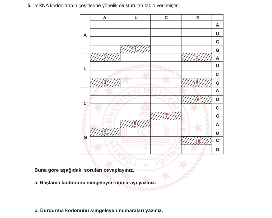 12. Sınıf Biyoloji 2023-2024 1. Dönem 2. Yazılı 2. Bölüm 5. Soru görseli