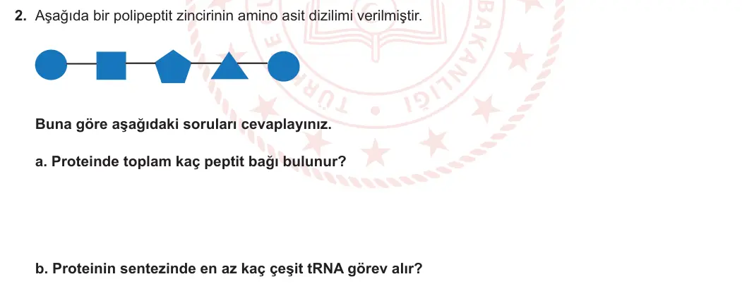 12. Sınıf Biyoloji 2023-2024 1. Dönem 2. Yazılı 3. Bölüm 2. Soru görseli