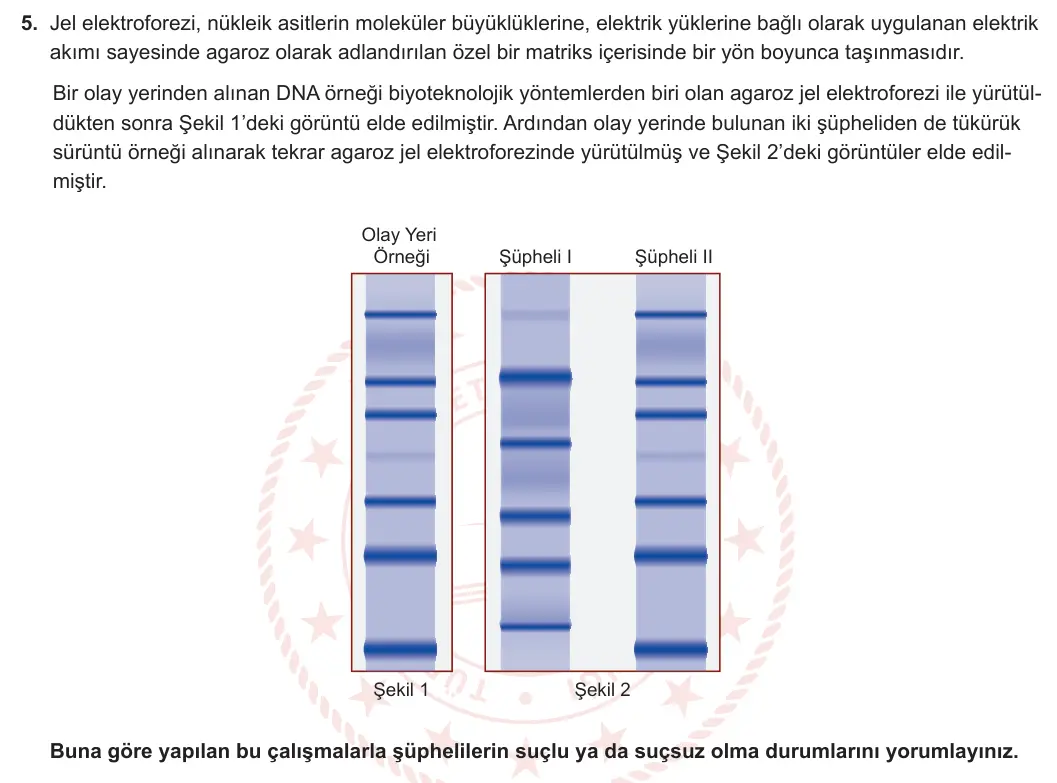 12. Sınıf Biyoloji 2023-2024 1. Dönem 2. Yazılı 3. Bölüm 5. Soru görseli
