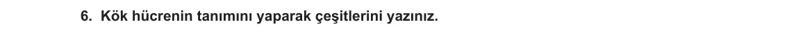 12. Sınıf Biyoloji 2023-2024 1. Dönem 2. Yazılı 3. Bölüm 6. Soru görseli