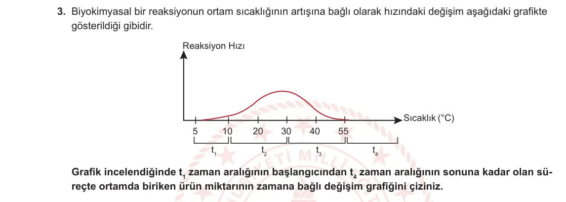 9. Sınıf Biyoloji 2023-2024 1. Dönem 2. Yazılı 1. Bölüm 3. Soru görseli
