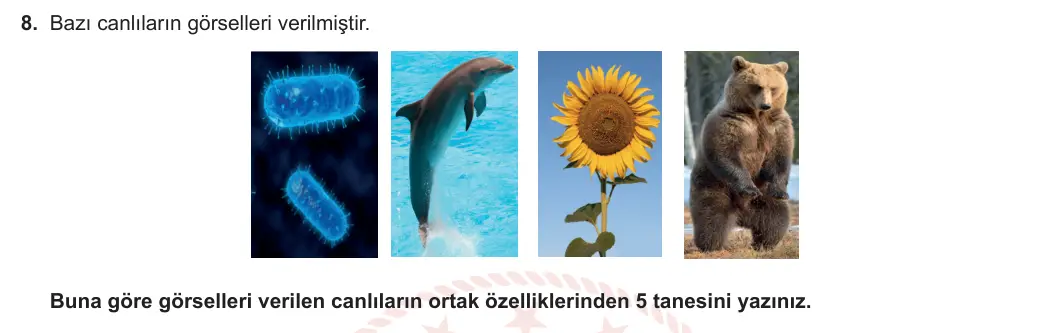 9. Sınıf Biyoloji 2023-2024 1. Dönem 2. Yazılı 1. Bölüm 8. Soru görseli