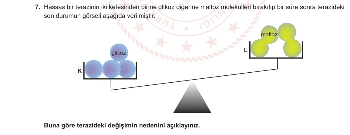 9. Sınıf Biyoloji 2023-2024 1. Dönem 2. Yazılı 2. Bölüm 7. Soru görseli